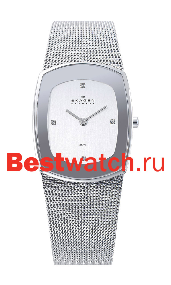 Часы Skagen STEEL 649SSSC