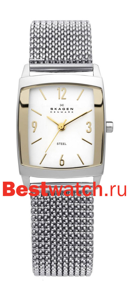 Часы Skagen Mesh 691SGS1