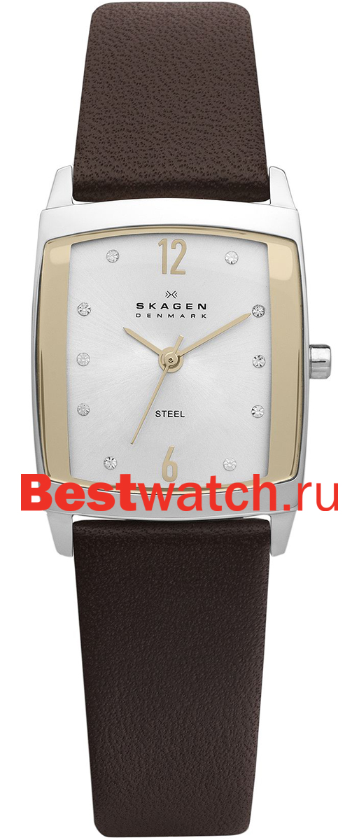 Часы Skagen Leather Rectangular 691SSLG