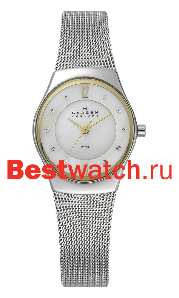 Часы Skagen Mesh Classic 693XSGSW