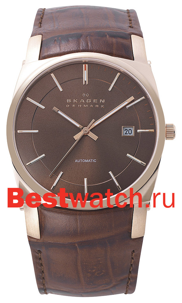 Часы Skagen Leather Classic 759LRLD