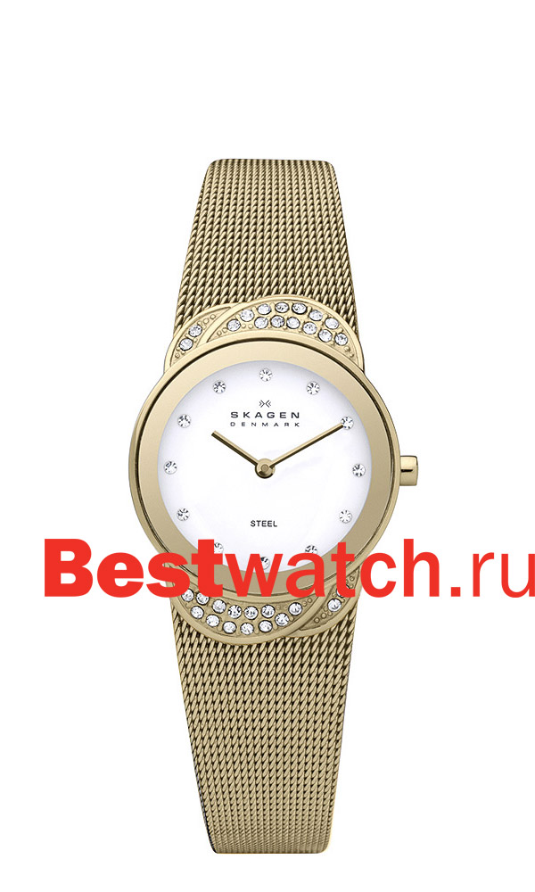 Часы Skagen Mesh 818SGG