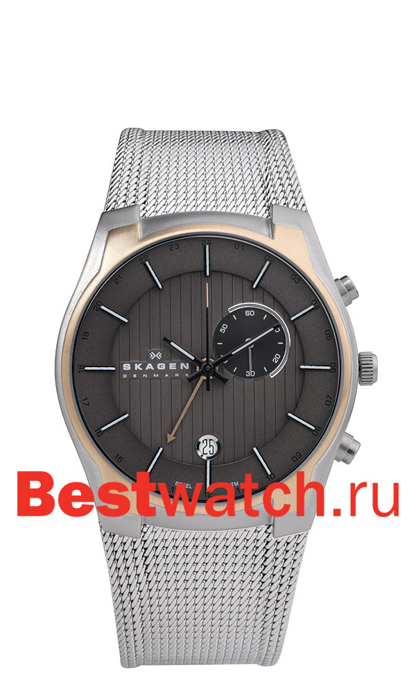 Часы Skagen Mesh Classic 853XLSRM