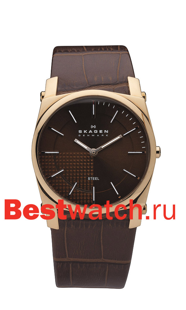 Часы Skagen Leather 859LRLD