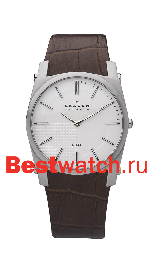 Часы Skagen Leather 859LSLC