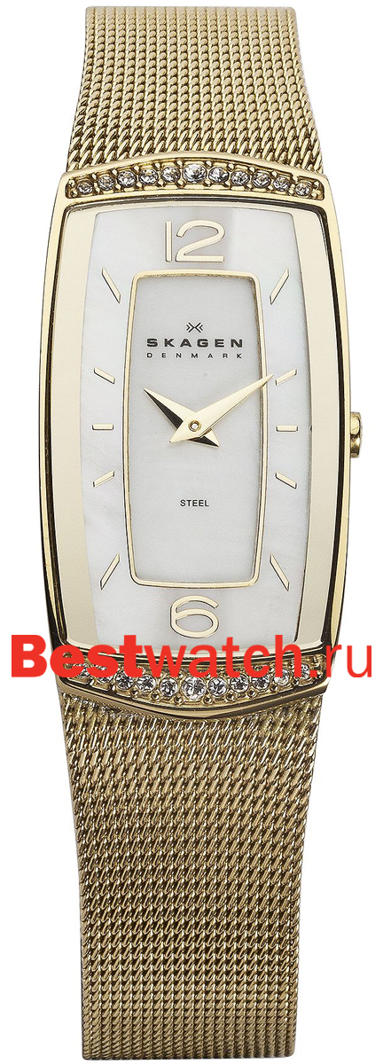 Часы Skagen Mesh 887SGG
