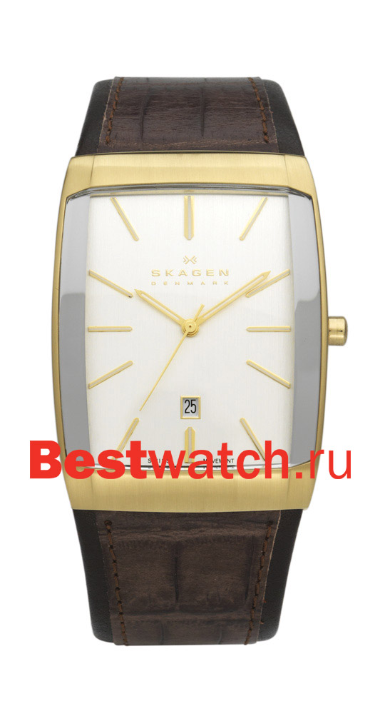 Часы Skagen Leather 984LGLD