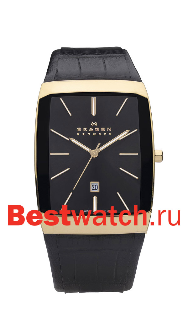 Часы Skagen Leather 984LRLB