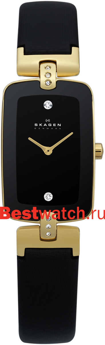 Часы Skagen Leather H01SGLB