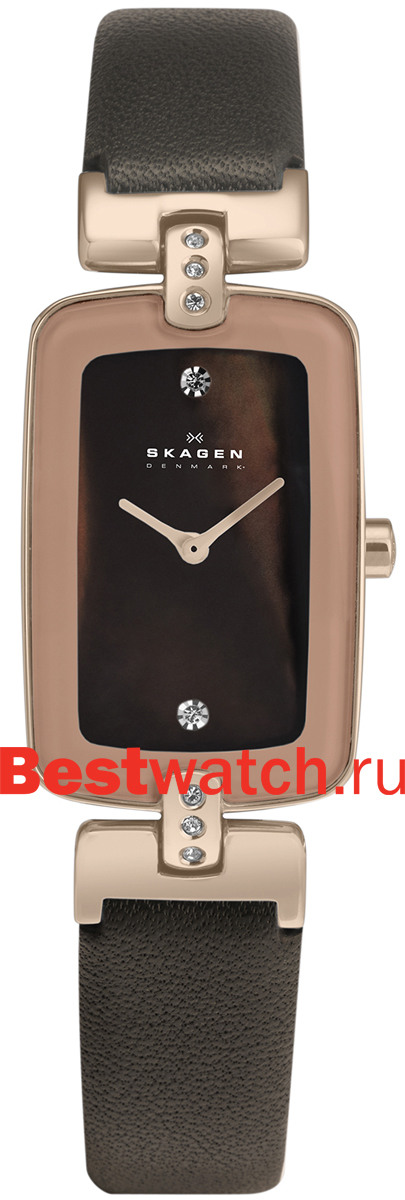 Часы Skagen Leather H01SRLD