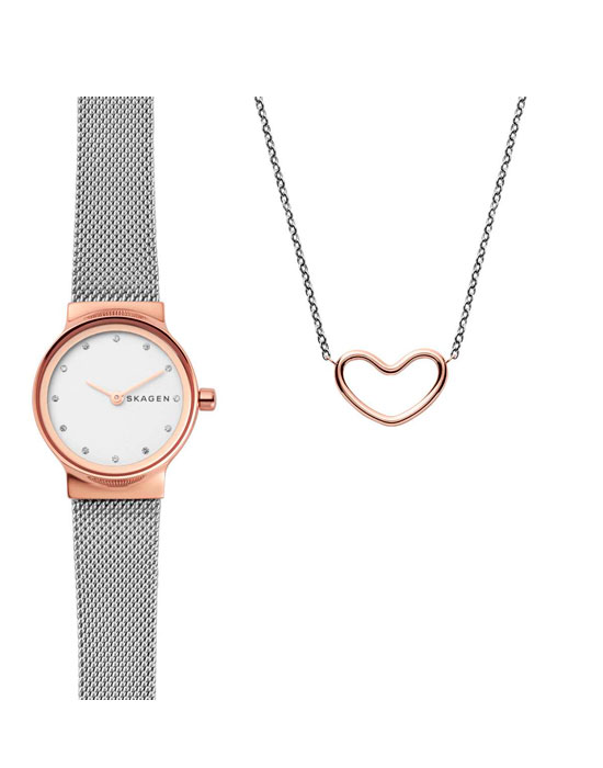 Часы Skagen Mesh SKW1101