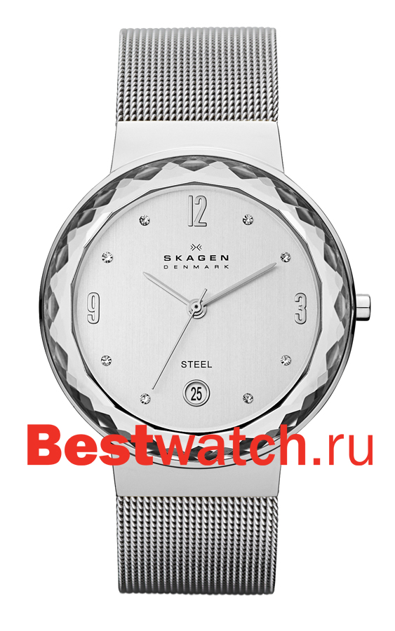 Часы Skagen Mesh SKW2004