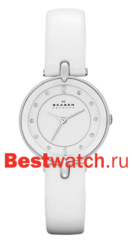 Часы Skagen Leather SKW2012