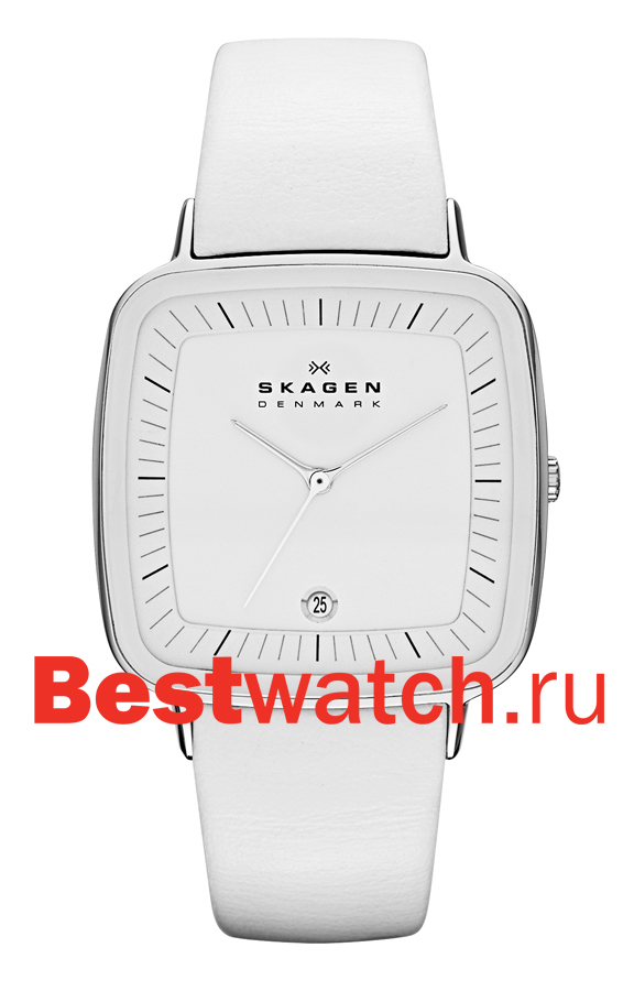 Часы Skagen Leather SKW2013