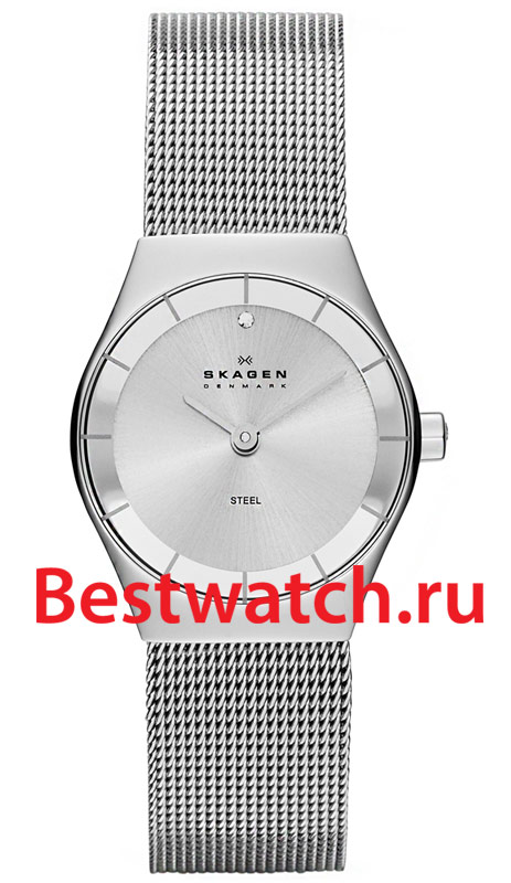 Часы Skagen Mesh SKW2044