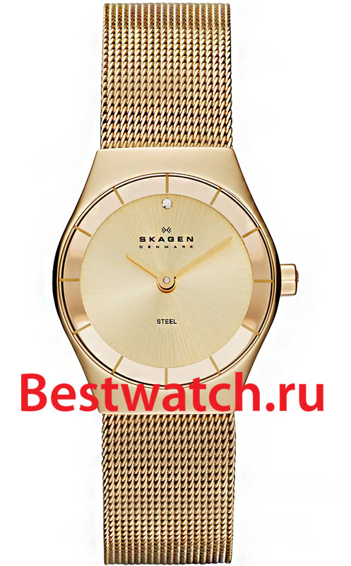 Часы Skagen Mesh SKW2045