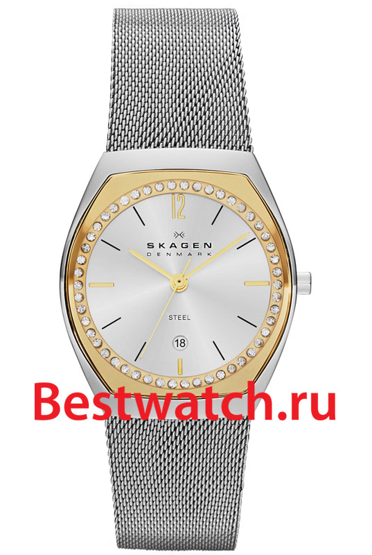 Часы Skagen Mesh SKW2050