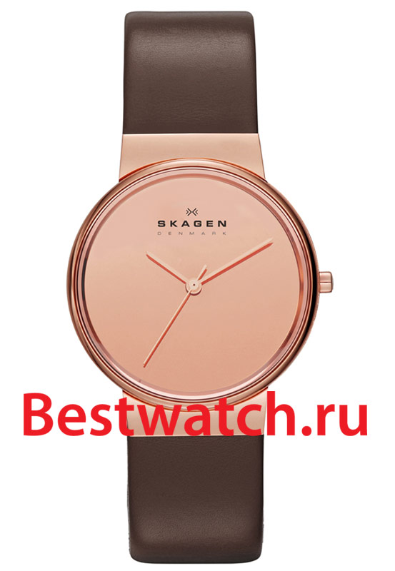 Часы Skagen Leather SKW2065