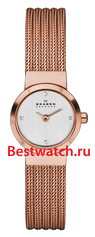Часы Skagen Mesh SKW2132