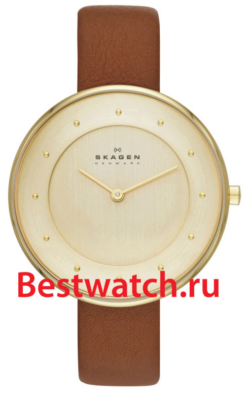 Часы Skagen Leather SKW2138