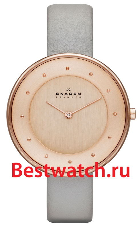 Часы Skagen Leather SKW2139