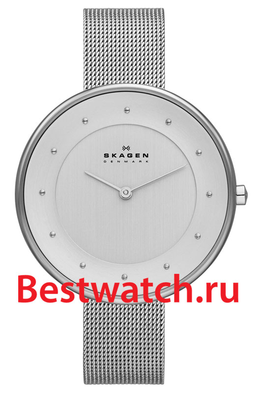 Часы Skagen Mesh SKW2140