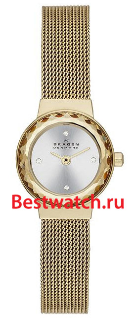 Часы Skagen Mesh SKW2186