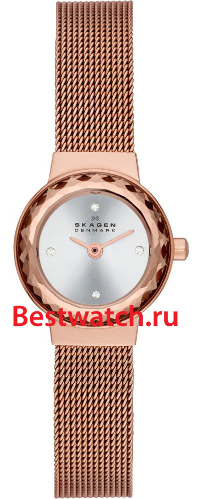 Часы Skagen Mesh SKW2187
