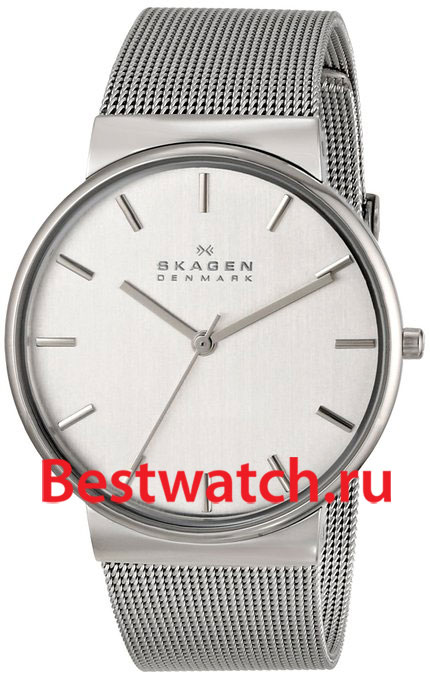 Часы Skagen Mesh SKW2201
