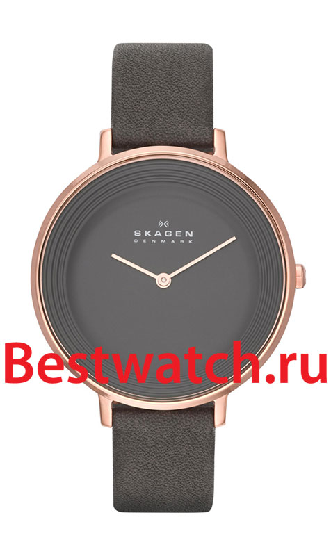 Часы Skagen Leather SKW2216
