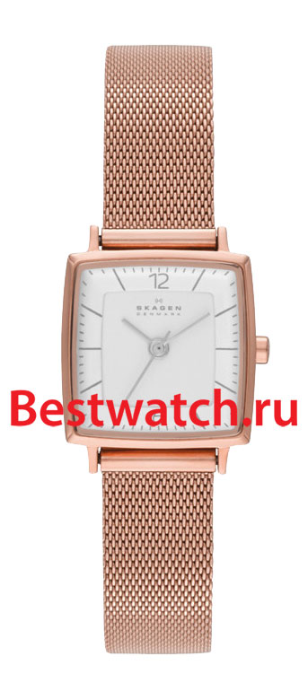 Часы Skagen Mesh SKW2219