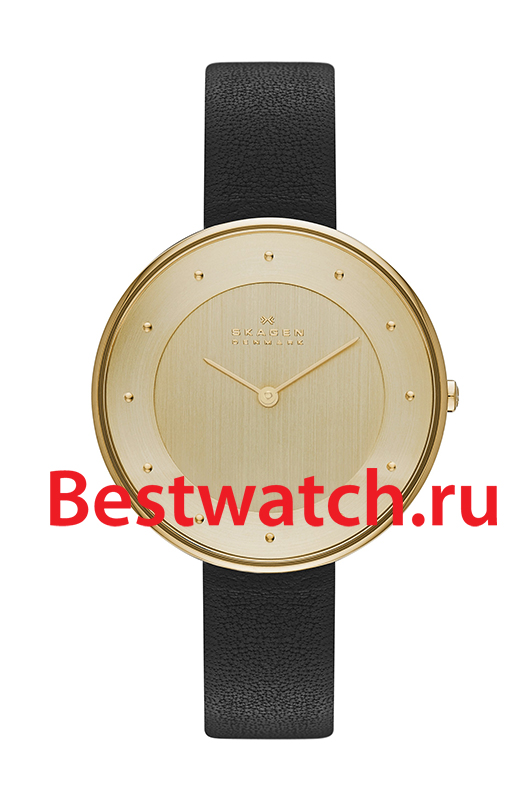 Часы Skagen Leather SKW2262