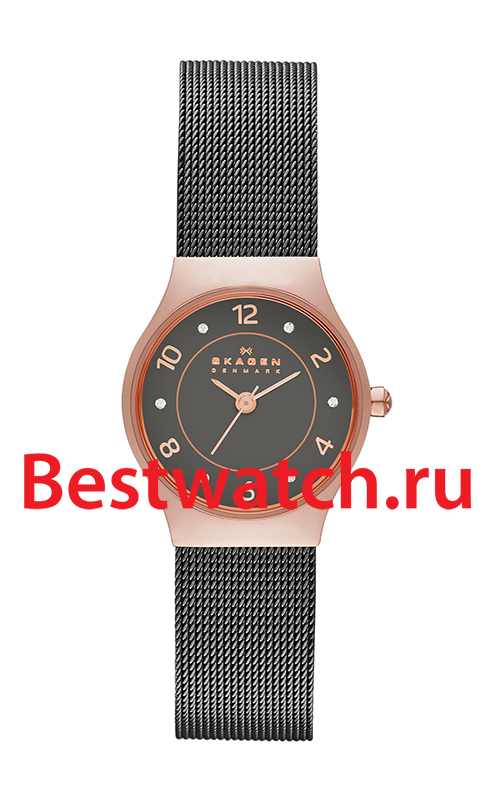 Часы Skagen Mesh SKW2270