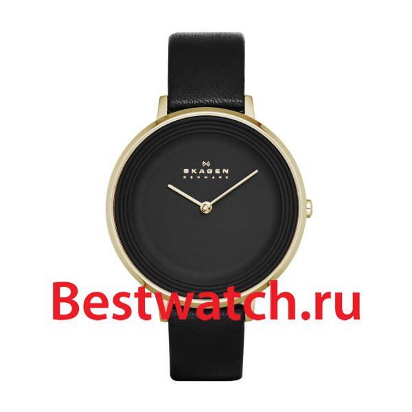 Часы Skagen Leather SKW2286