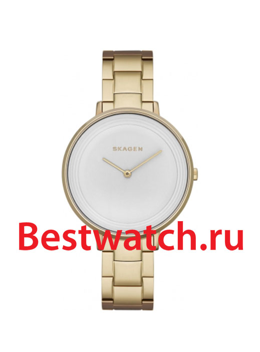 Часы Skagen Links SKW2330