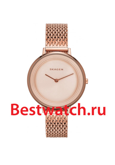 Часы Skagen Mesh SKW2334