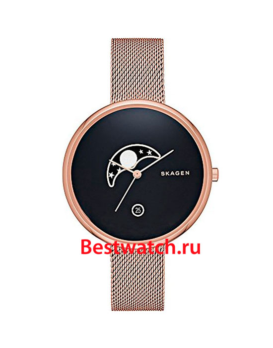 Часы Skagen Mesh SKW2371
