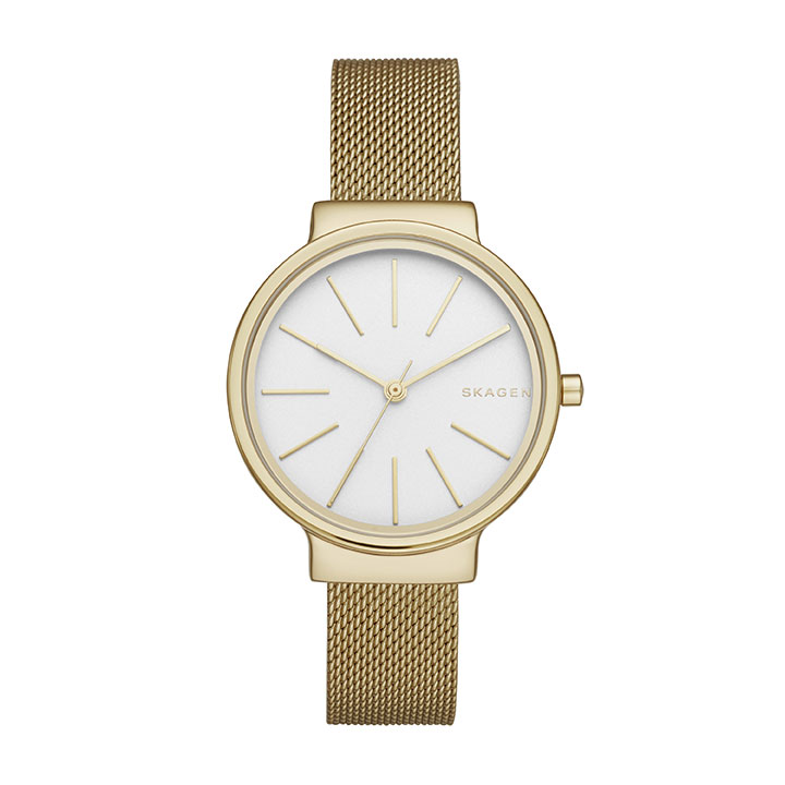Часы Skagen Mesh SKW2477