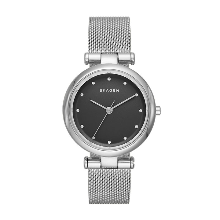 Часы Skagen Mesh SKW2487