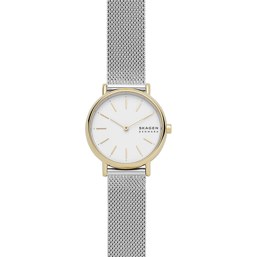 Часы Skagen Mesh SKW2910