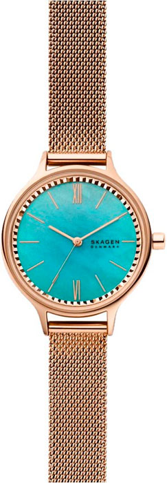 Часы Skagen Mesh SKW2977