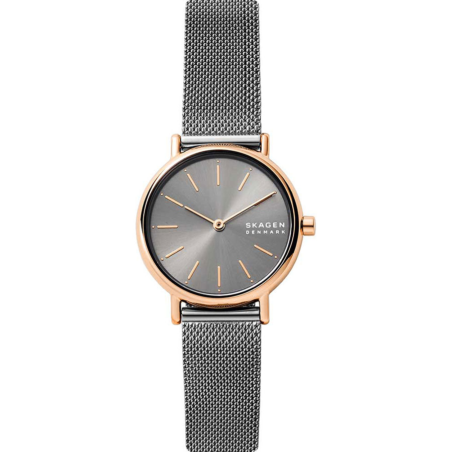 Часы Skagen Signatur SKW2996