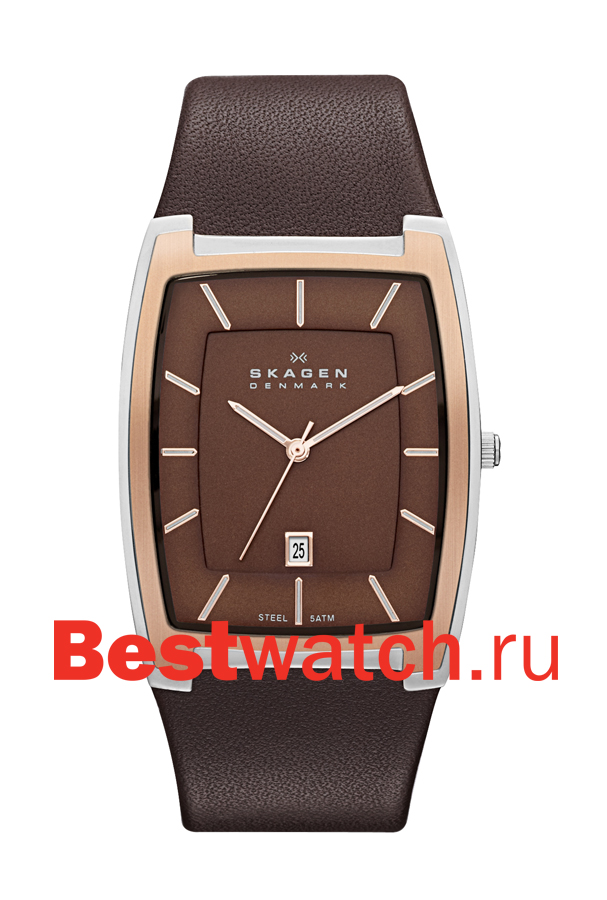 Часы Skagen Leather SKW6004