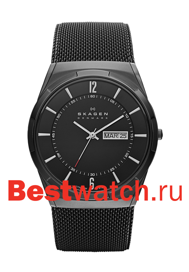 Часы Skagen Mesh SKW6006