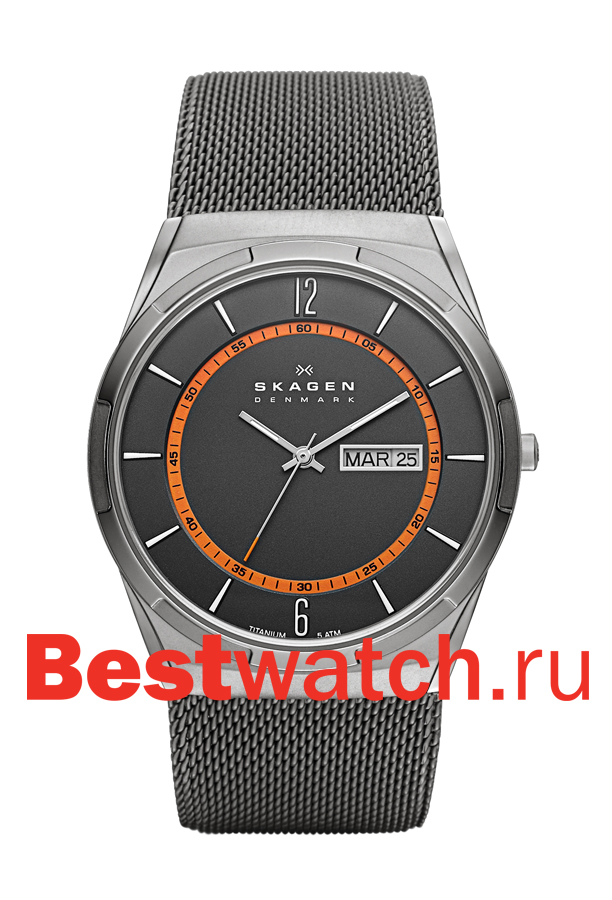Часы Skagen Mesh SKW6007