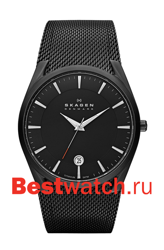 Часы Skagen Mesh SKW6009