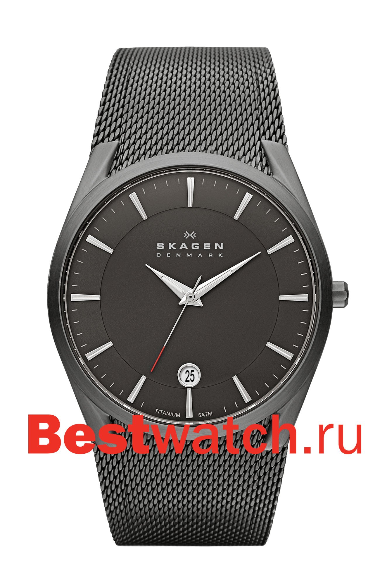 Часы Skagen Mesh SKW6010