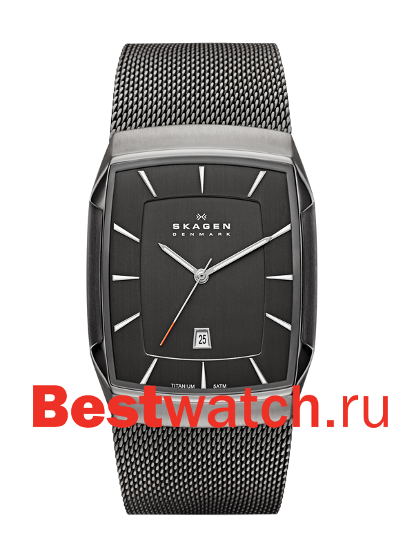 Часы Skagen Mesh SKW6012
