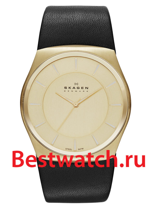 Часы Skagen Leather SKW6018