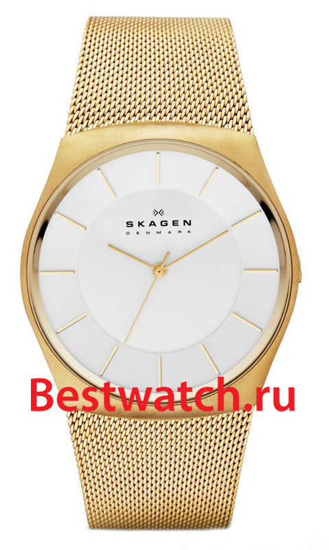 Часы Skagen Mesh SKW6069